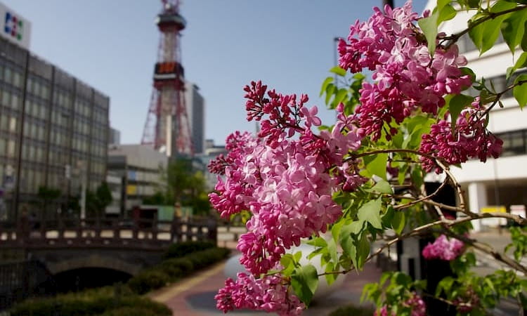 創成川公園