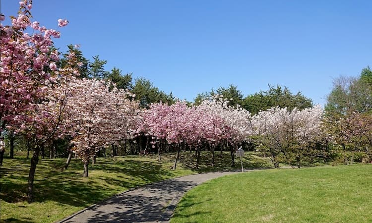 天神山緑地