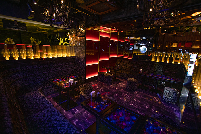 YGGDRASILLの店内写真