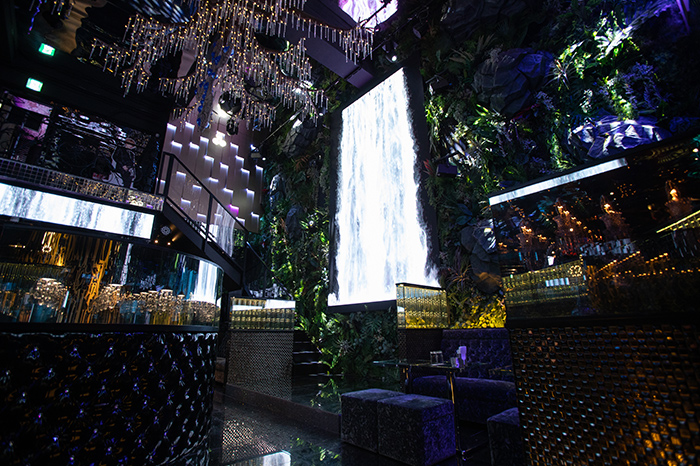 YGGDRASILLの店内写真