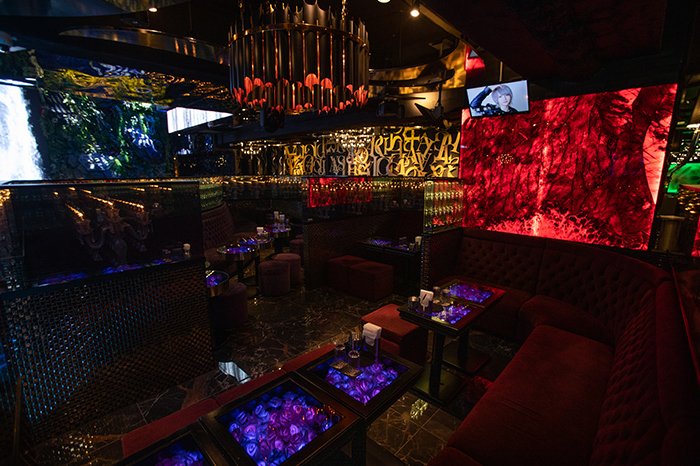 YGGDRASILLの店内写真