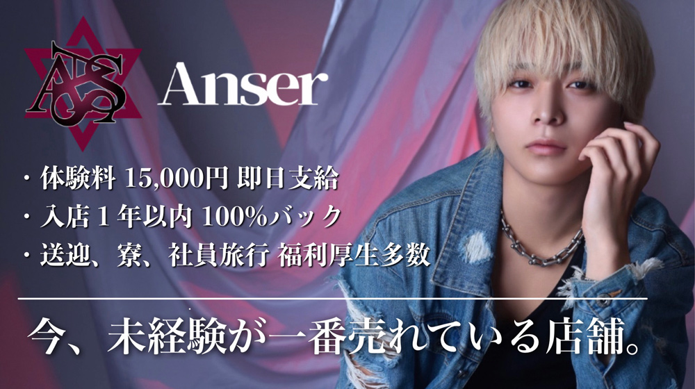 Anserのイメージ画像