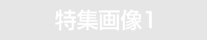 特集テスト１